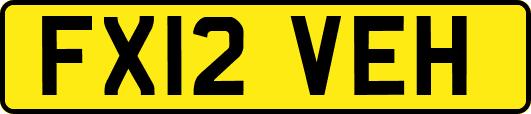 FX12VEH