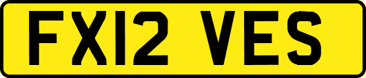 FX12VES