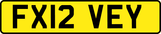 FX12VEY