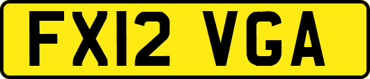 FX12VGA