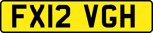 FX12VGH