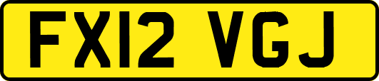 FX12VGJ