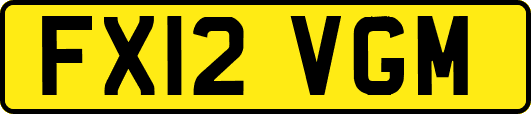 FX12VGM