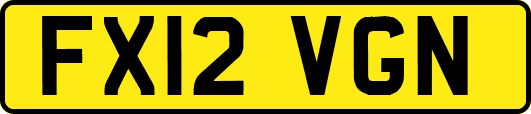 FX12VGN