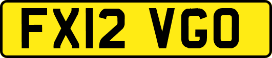 FX12VGO