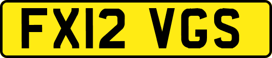 FX12VGS