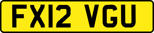 FX12VGU