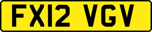 FX12VGV