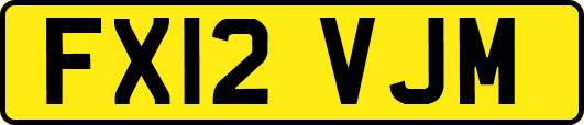 FX12VJM
