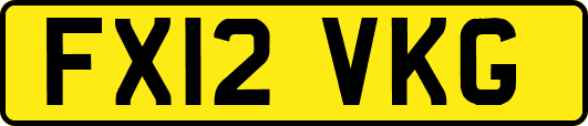 FX12VKG