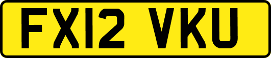 FX12VKU