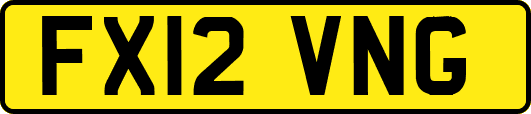 FX12VNG