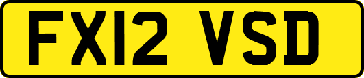 FX12VSD