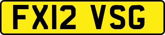 FX12VSG