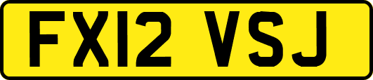 FX12VSJ