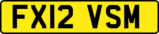 FX12VSM