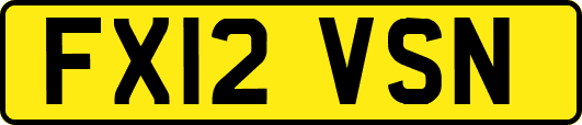 FX12VSN