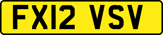 FX12VSV