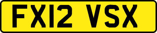 FX12VSX