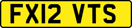 FX12VTS