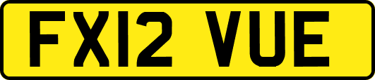 FX12VUE
