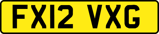 FX12VXG