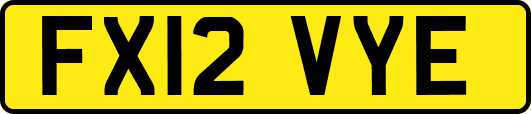FX12VYE