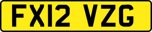 FX12VZG