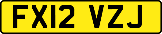 FX12VZJ