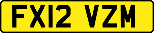 FX12VZM