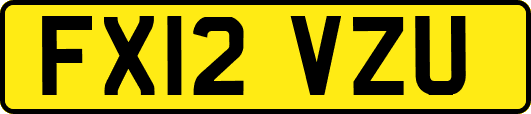 FX12VZU