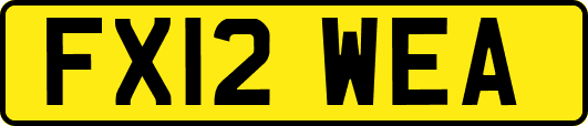 FX12WEA