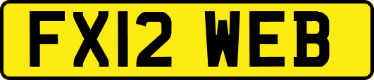 FX12WEB