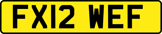 FX12WEF