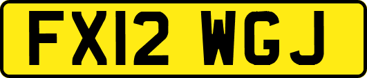 FX12WGJ