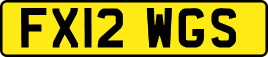 FX12WGS