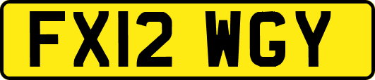 FX12WGY