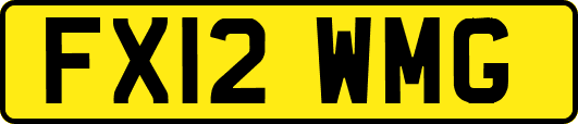 FX12WMG