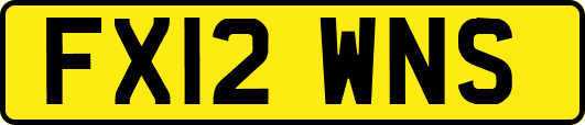 FX12WNS