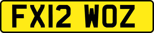 FX12WOZ