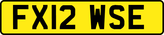 FX12WSE