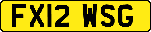 FX12WSG