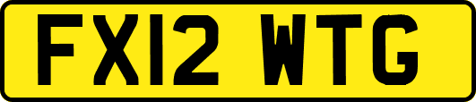 FX12WTG