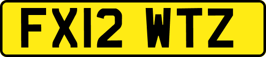 FX12WTZ
