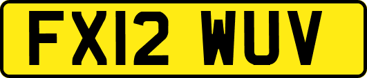FX12WUV