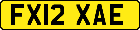 FX12XAE
