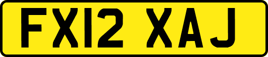 FX12XAJ