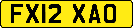FX12XAO