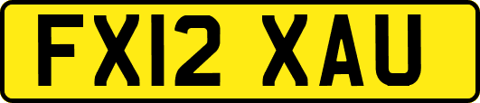 FX12XAU
