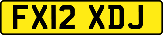 FX12XDJ